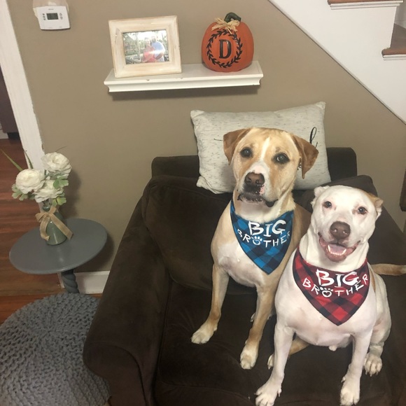 Meet the Posher! - Picture 5 of 5